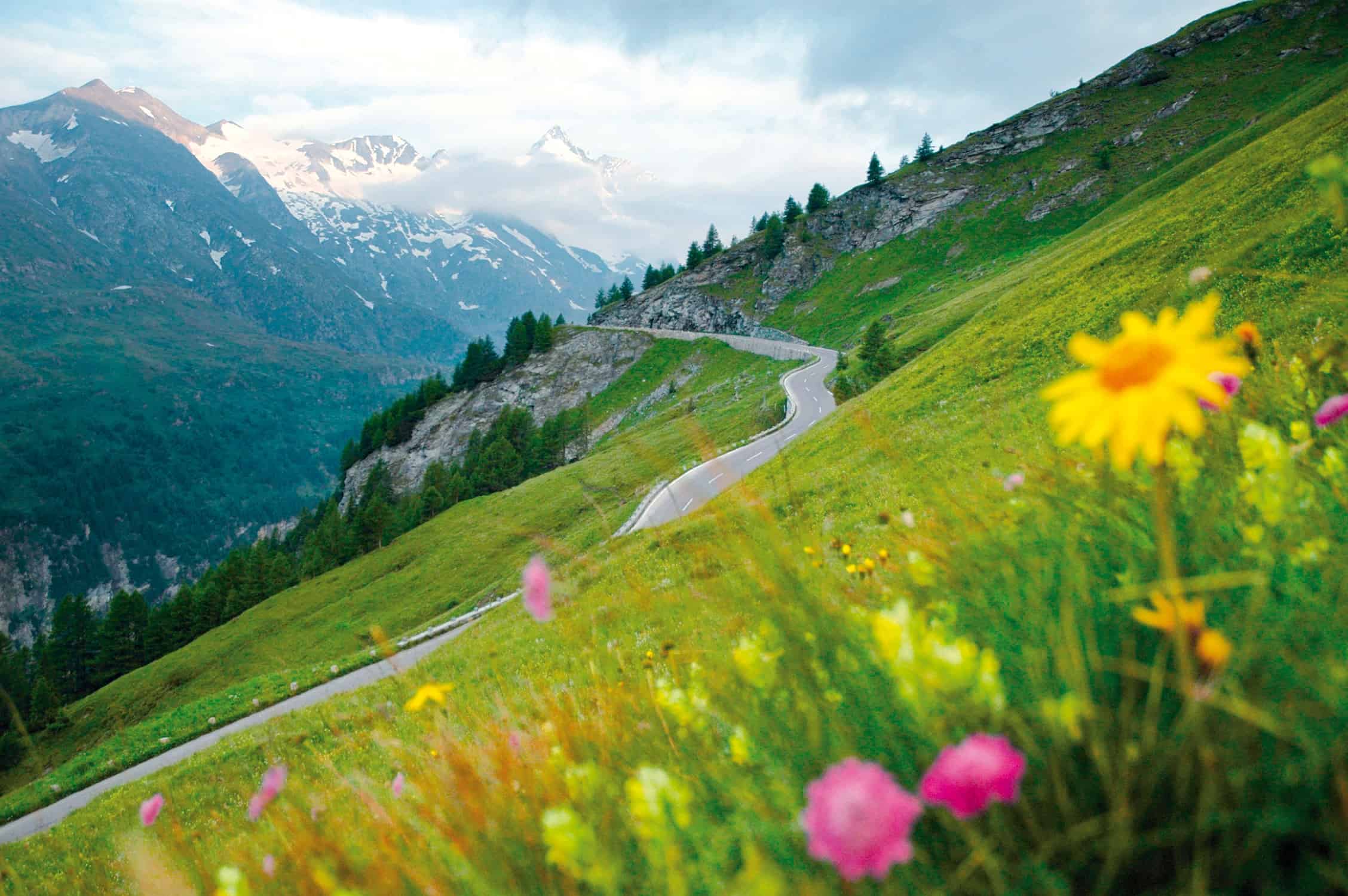 Sommer Ausflugsziel Großglockner Hochalpenstraße Naturlandschaft