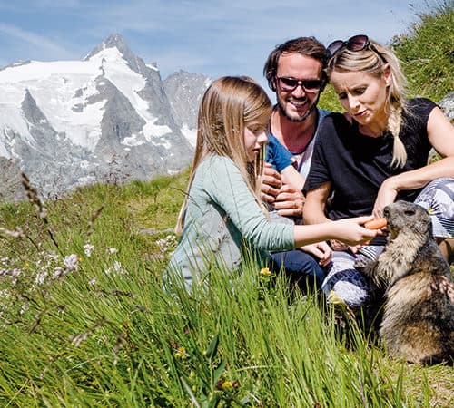 Familie füttert Murmeltier im Nationalpark Hoche Tauern vor dem Großglockner. Familienfreundliche Großglockner Hochalpenstraße