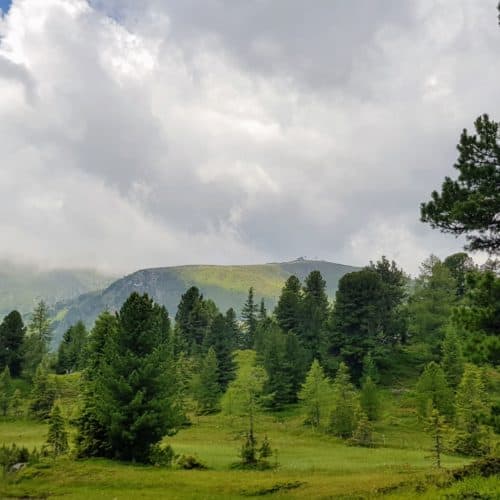 Ausflug und Wanderung bei Regenwetter auf der Turracher Höhe. Landschaft Wanderregion mit Nockbergen, Wiesen und Bäumen.