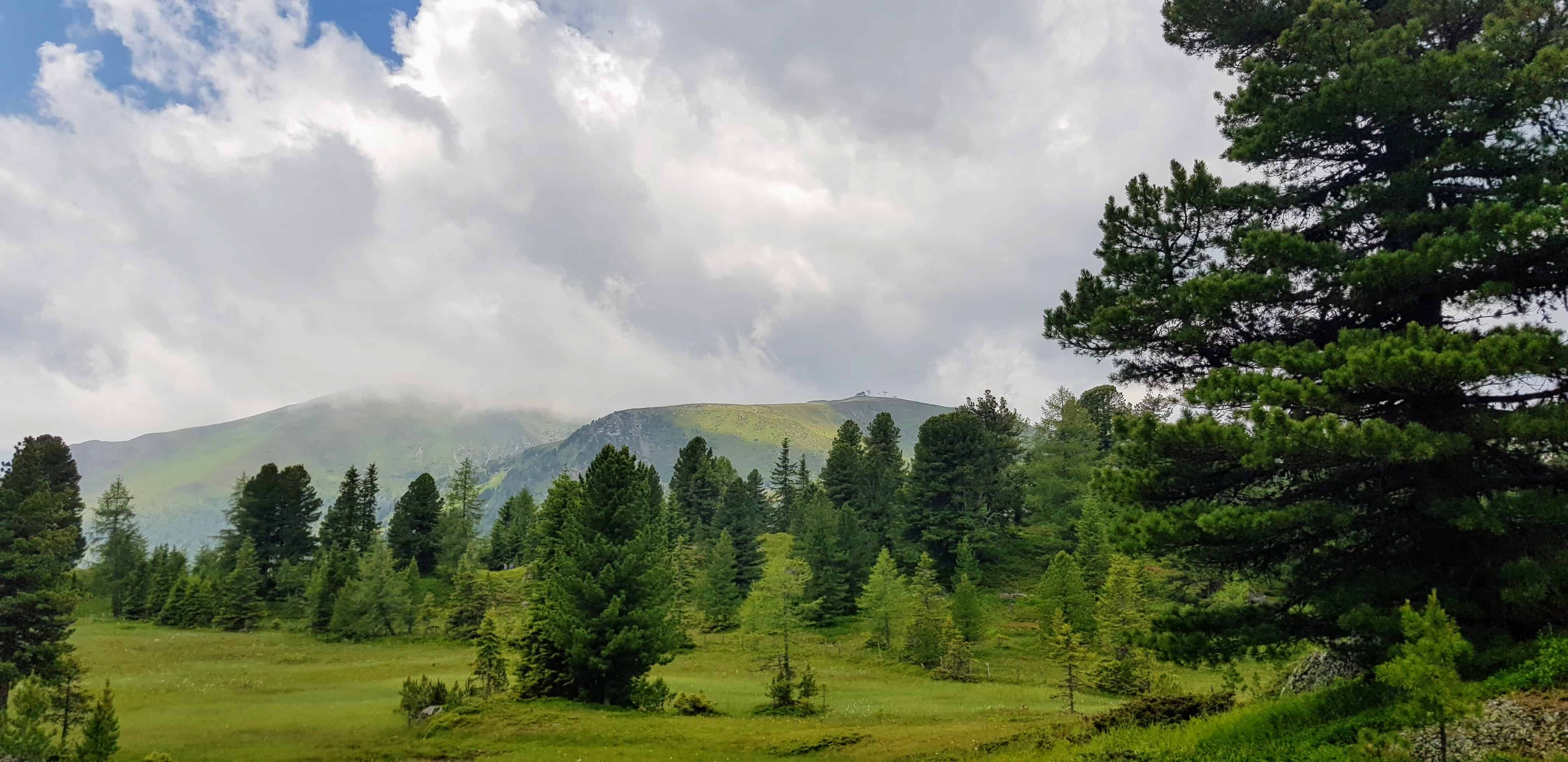 Ausflug und Wanderung bei Regenwetter auf der Turracher Höhe. Landschaft Wanderregion mit Nockbergen, Wiesen und Bäumen.