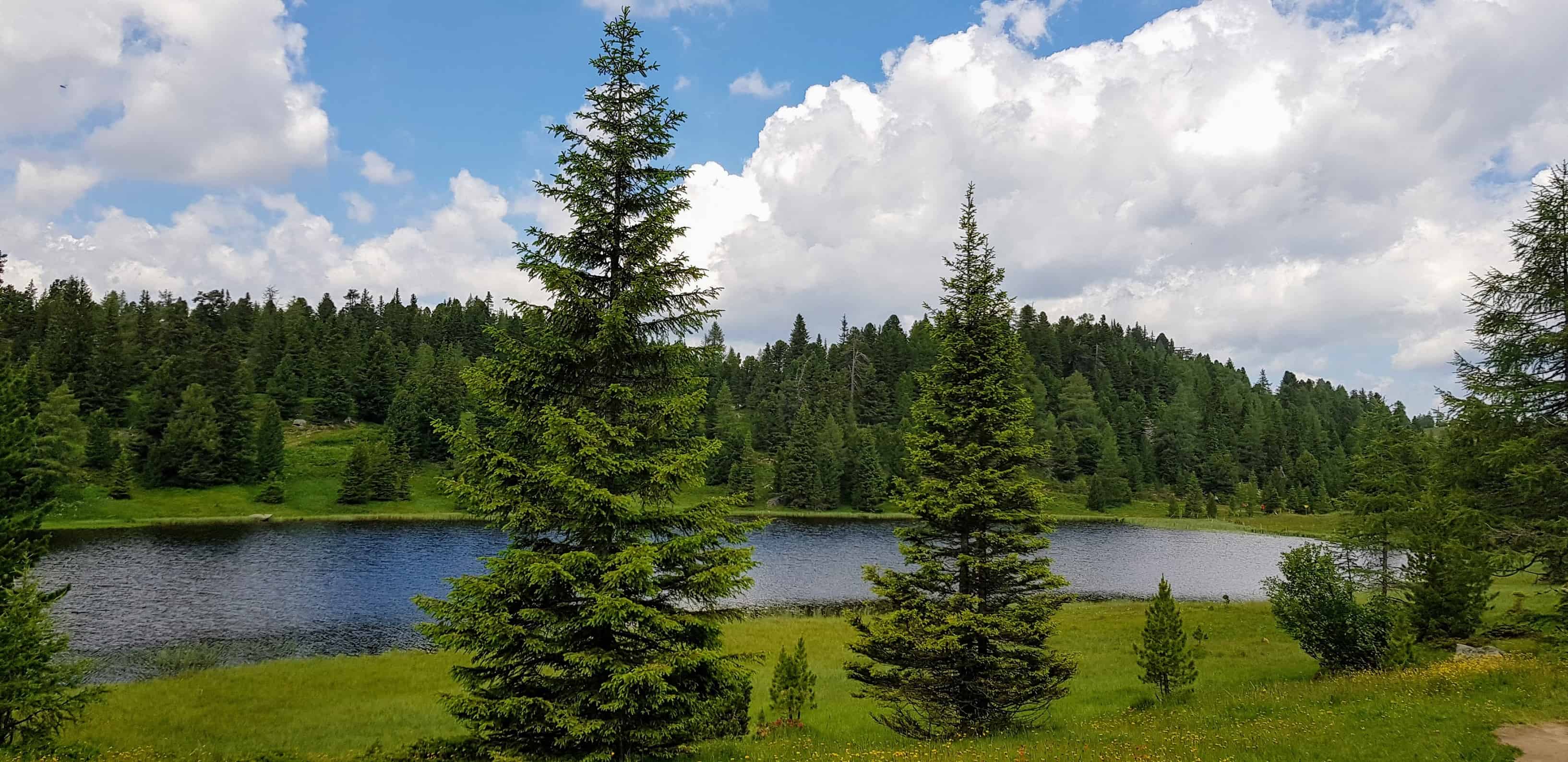 Schwarzsee - Bergsee auf der Turracher Höhe in Kärnten & Steiermark, Ausflugstipp in Österreich