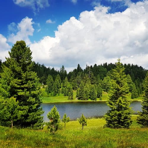 Schwarzsee auf der Turracher Höhe - Wanderung 3 Seenrunde - in den Nockbergen in Kärnten - Österreich