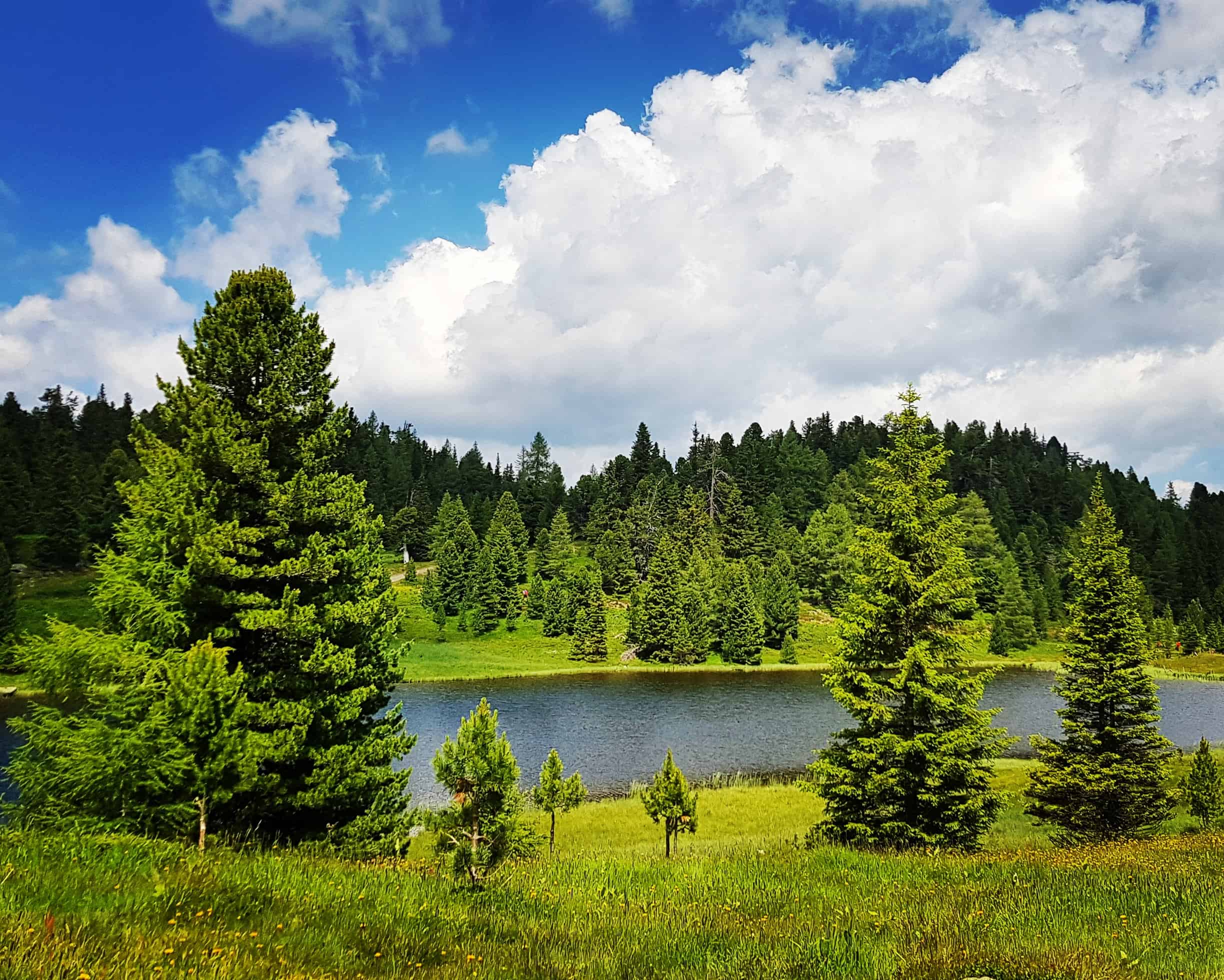 Schwarzsee auf der Turracher Höhe - Wanderung 3 Seenrunde - in den Nockbergen in Kärnten - Österreich