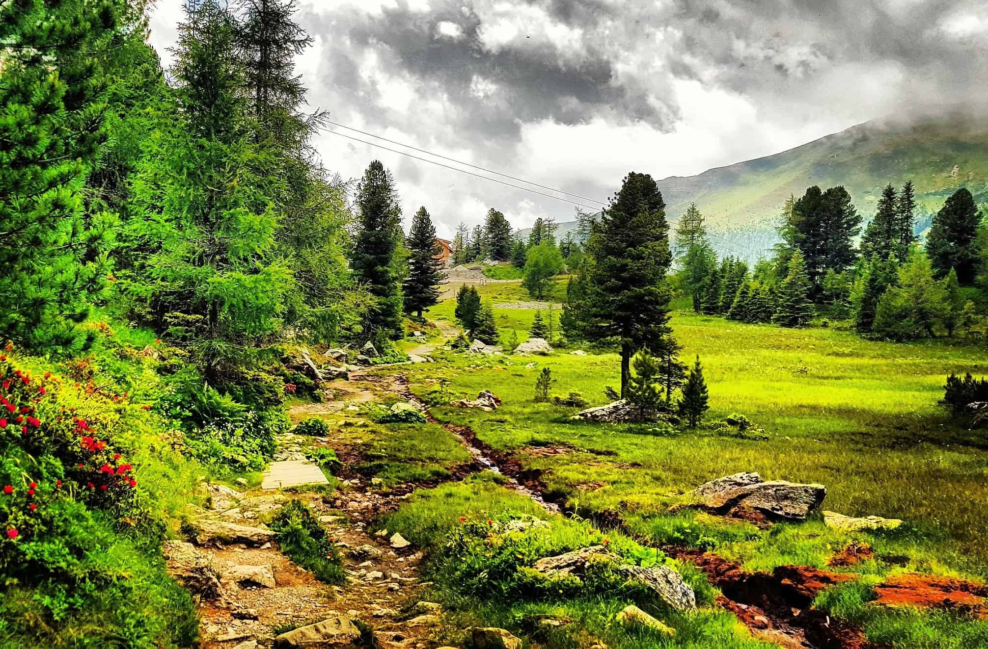 schöner Wanderweg in den Nockbergen - Ausflugstipp bei Regenwetter in Kärnten auf die Turracher Höhe - Österreich