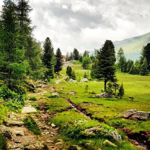Wandern auf der Turracher Höhe in Kärnten-Steiermark - Wanderweg mit Almrausch bei Regenwetter in Österreich