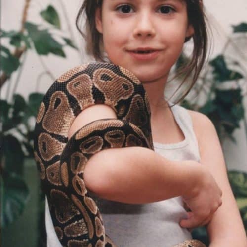 Kind mit Schlange bei Familienausflug in Kärnten Klagenfurt - Reptilienzoo Happ