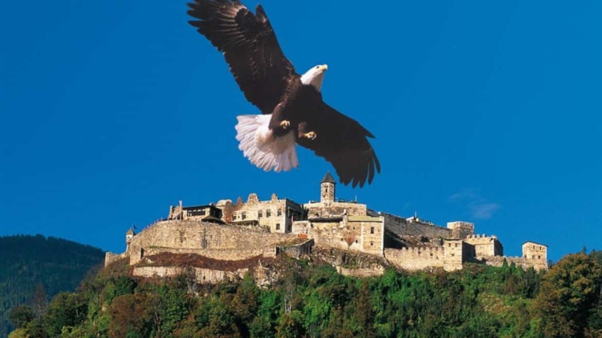 Kärntens TOP-10 Ausflugsziele: Adlerarena bei Burg Landskron - Greifvogelschau mit Adler und Eulen