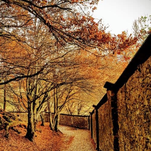 Spaziergang und Wanderweg durch den Tierpark Rosegg in Kärnten. Kinderwagentaugliches Ausflugsziel in der Nähe von Velden am Wörthersee