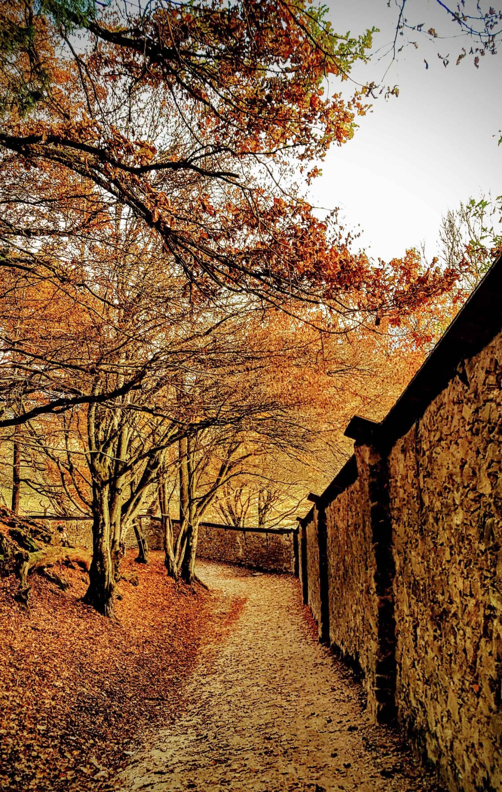 Spaziergang und Wanderweg durch den Tierpark Rosegg in Kärnten. Kinderwagentaugliches Ausflugsziel in der Nähe von Velden am Wörthersee