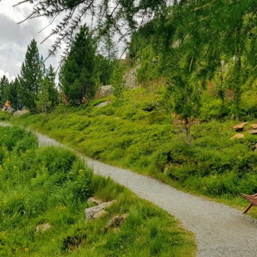 Wandern mit Kindern auf Turracher Höhe Nockys Almzeit Rundwanderweg mit Kinderwagen befahrbar - Familienausflugsziel auf der Turrach
