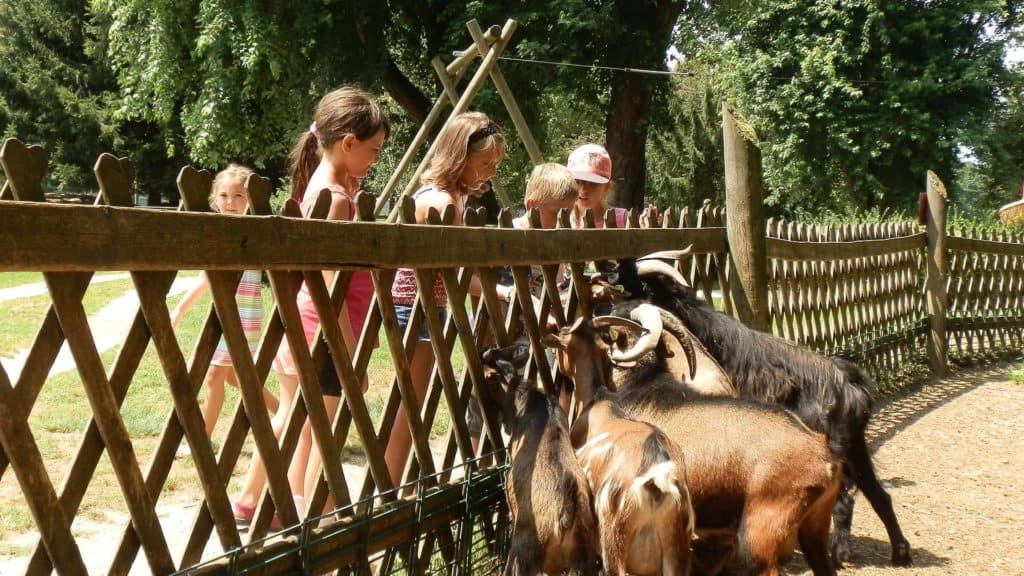 Kinder im familienfreundlichen Tierpark Rosegg in Kärnten 