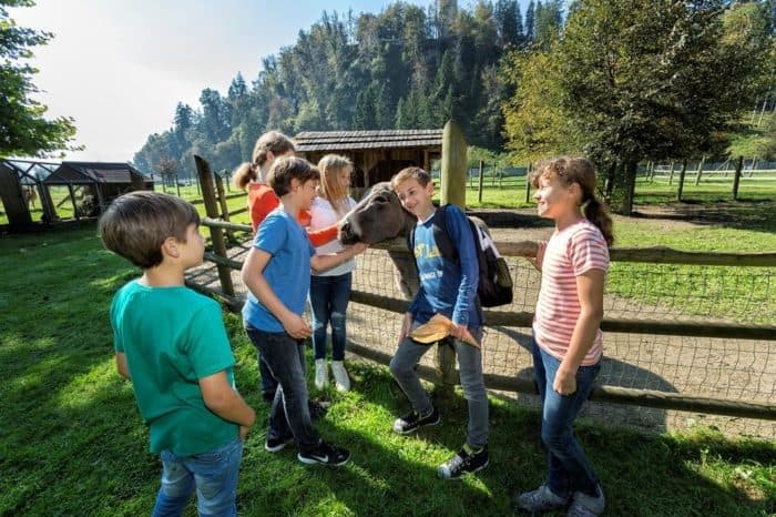 Neue menschen kennenlernen in bruck-waasen. Scheibbs Partnersuche senioren aus achenkirch. Uni leute kennenlernen prtschach am wrthersee. Treffen am ossiacher see seri se partnervermittlung