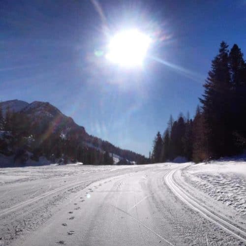 Langlaufloipen auf der Turracher Höhe - Urlaubsort zwischen Steiermark & Kärnten in Österreich