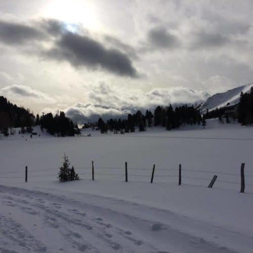 Winter Turracher Höhe Landschaft mit Schnee am Abend bei Urlaub in Österreich, Kärnten