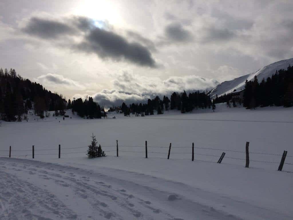 Winter Turracher Höhe Landschaft mit Schnee am Abend bei Urlaub in Österreich, Kärnten