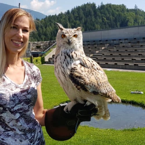 Frau mit Sibirischem Uhu in der Arena in Landskron am Ossiacher See bei Einlösung des Foto-Erlebnis-Gutscheins des Ausflugsziels