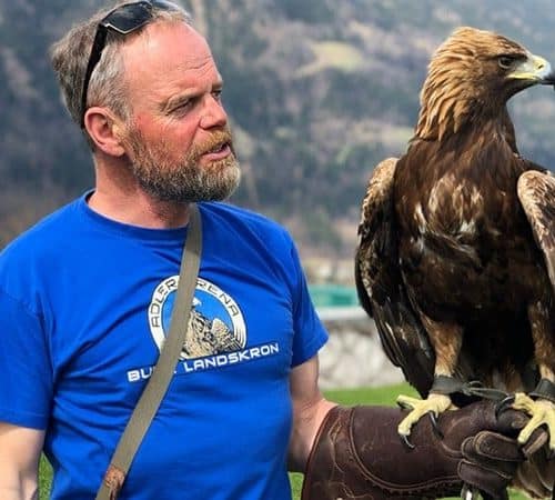 Falkner mit Steinadler im Ausflugsziel Adlerarena Burg Landskron bei Villach am Ossiacher See in Österreich, Kärnten