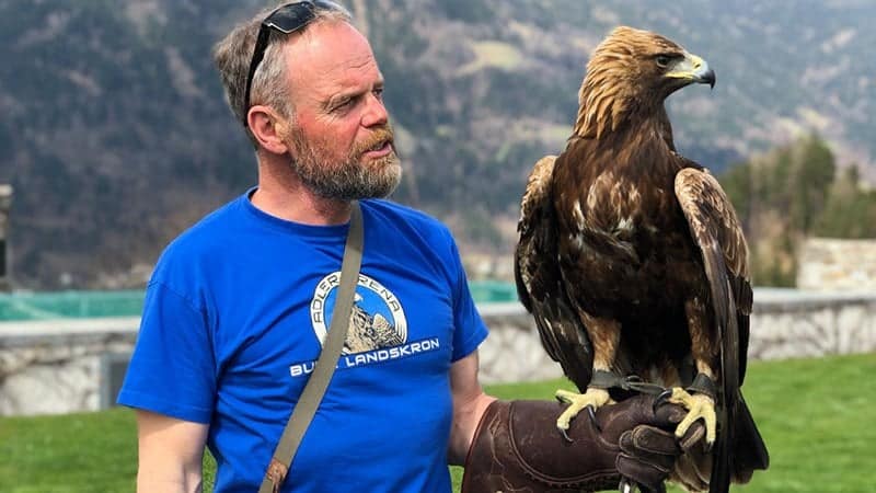 Falkner mit Steinadler im Ausflugsziel Adlerarena Burg Landskron bei Villach am Ossiacher See in Österreich, Kärnten