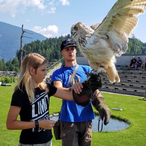 Foto mit Sibirischer Uhu auf Adlerarena Burg Landskron in Villach am Ossiacher See bei Familienausflug in Kärnten, Österreich