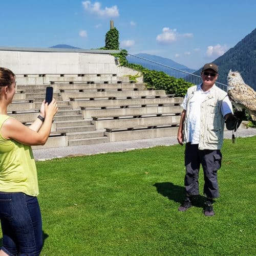 Foto Gutschein Geschenksidee: Bild mit Sibirischem Uhu im Ausflugsziel Adlerarena Landskron bei Villach am Ossiacher See