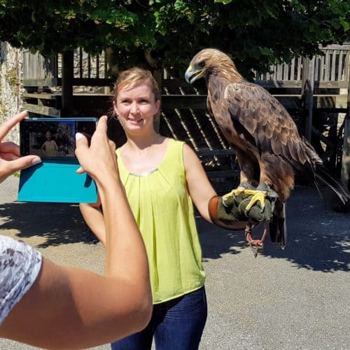 zwei Frauchen machen Fotos mit Steinadler auf der Adlerarena Burg Landskron in Kärnten - Villach, Ossiacher See.