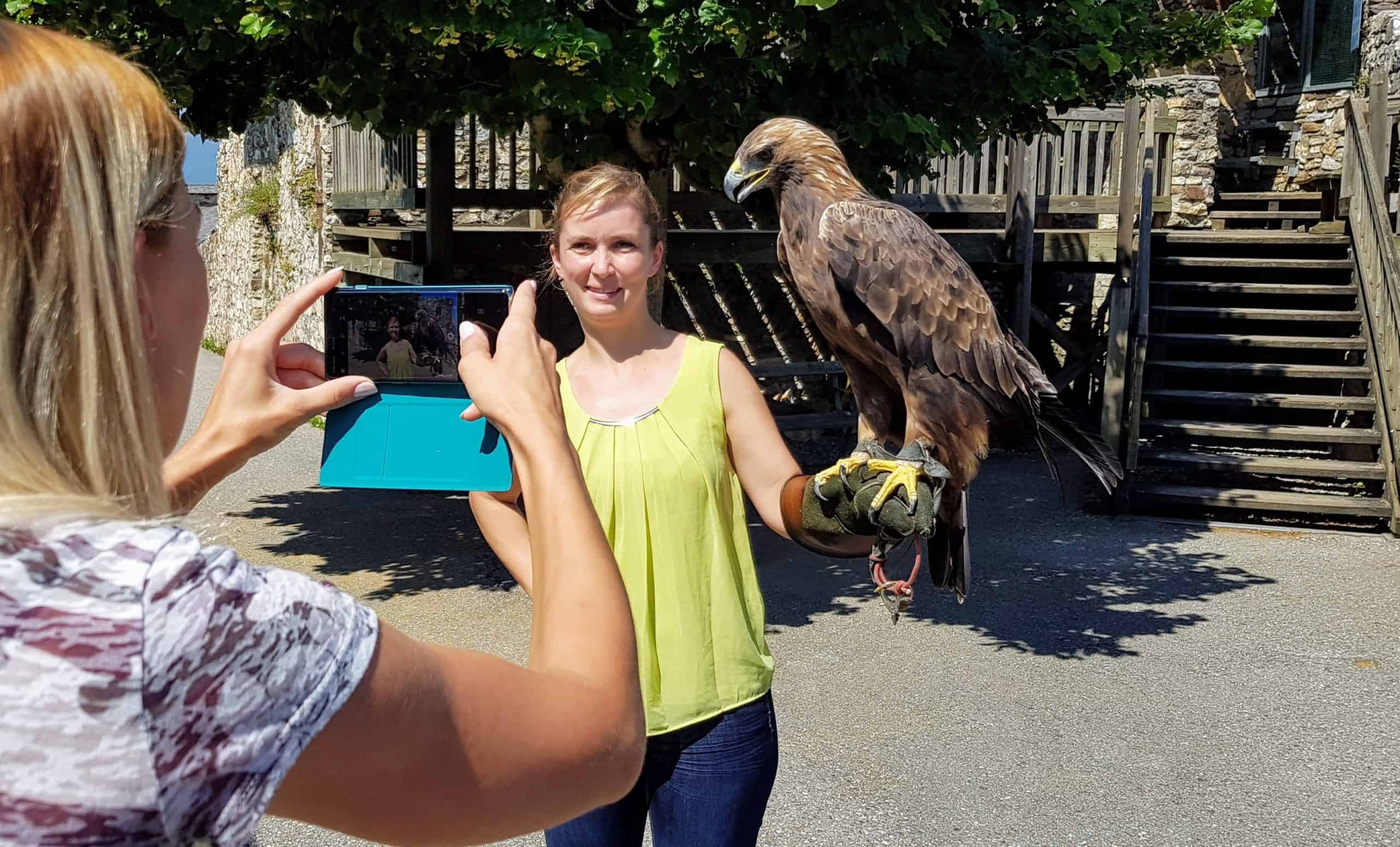 zwei Frauchen machen Fotos mit Steinadler auf der Adlerarena Burg Landskron in Kärnten - Villach, Ossiacher See.