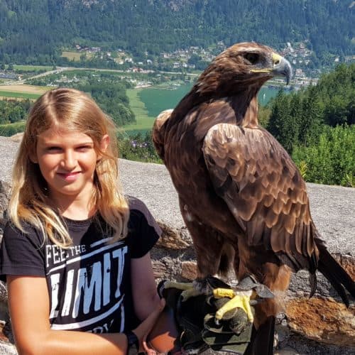 Kind mit Adler in der Adlerarena Burg Landskron am Ossiacher See - Ausflugsziel & Sehenswürdigkeit in Kärnten, Österreich