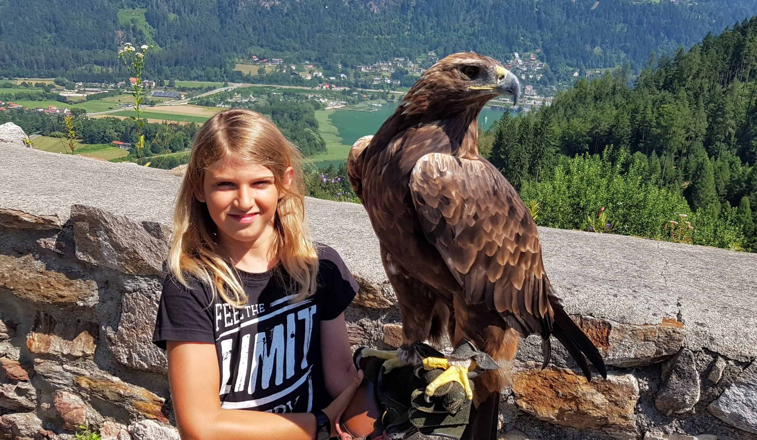 Kind mit Adler in der Adlerarena Burg Landskron am Ossiacher See - Ausflugsziel & Sehenswürdigkeit in Kärnten, Österreich