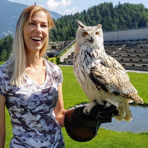 Sibirischer Uhu mit Besucherin auf der Adlerarena Burg Landskron in Kärnten am Ossiacher See bei Urlaub in Villach, Österreich