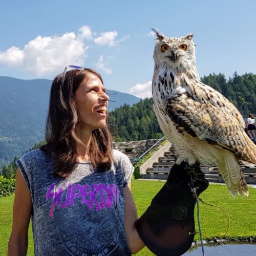Geschenksidee Foto mit Sibirischer Uhu oder Adler in der Adlerarena Landskron Kärnten Villach - Österreich