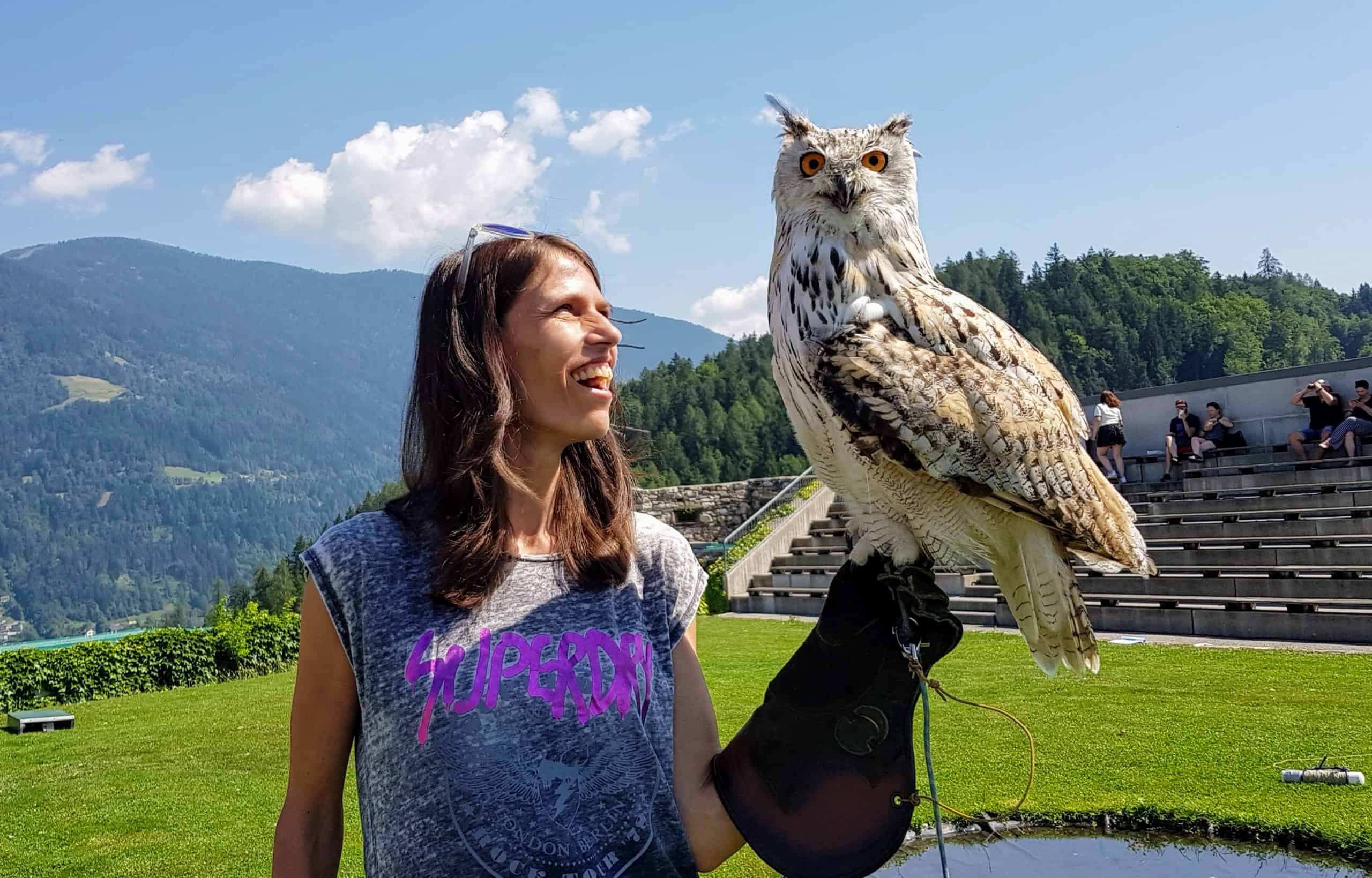 Geschenksidee Foto mit Sibirischer Uhu oder Adler in der Adlerarena Landskron Kärnten Villach - Österreich