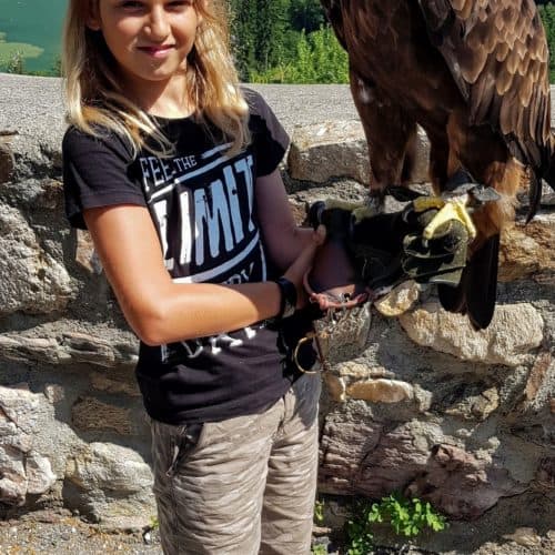 Foto mit Steinadler bei Familienausflug in Kärnten auf Adlerarena Burg Landskron bei Villach am Ossiacher See - Österreich