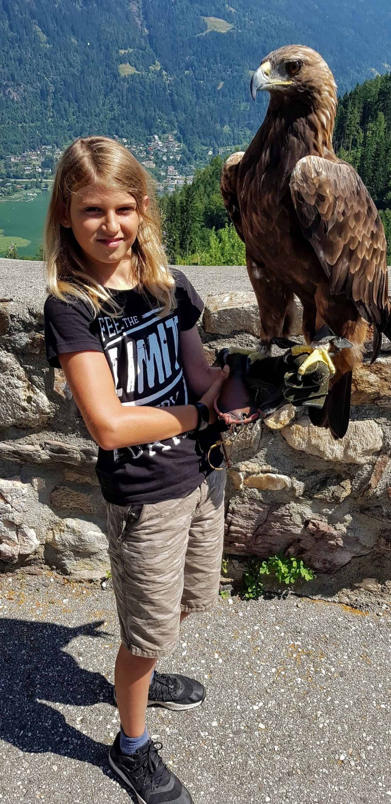 Foto mit Steinadler bei Familienausflug in Kärnten auf Adlerarena Burg Landskron bei Villach am Ossiacher See - Österreich