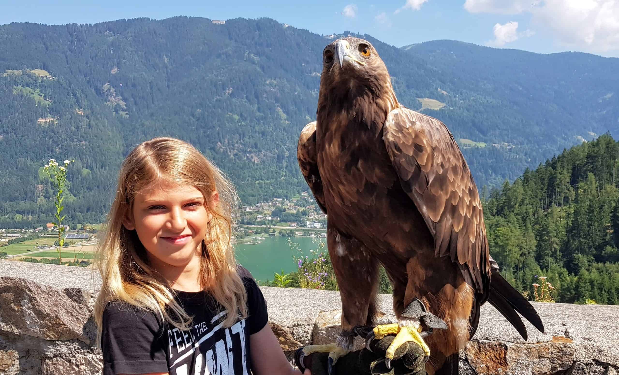 Gutschein Foto mit Greifvogel Steinadler in der Adlerarena Landskron Kärnten am Ossiacher See