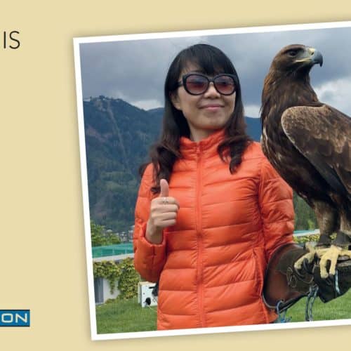 Geschenksidee Gutschein Foto mit Steinadler in der Adlerarena Burg Landskron bei Villach am Ossiacher See in Kärnten, Österreich