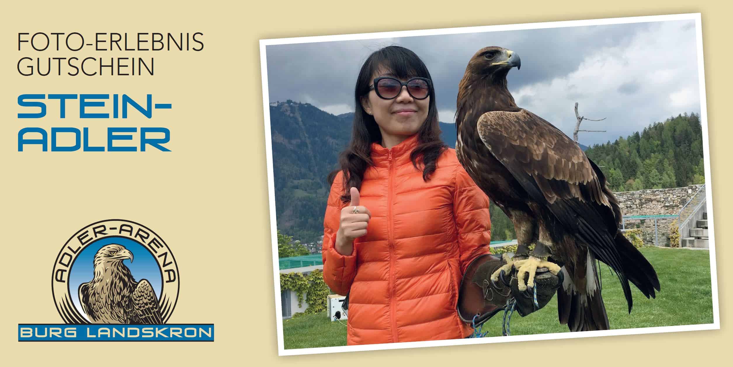 Geschenksidee Gutschein Foto mit Steinadler in der Adlerarena Burg Landskron bei Villach am Ossiacher See in Kärnten, Österreich