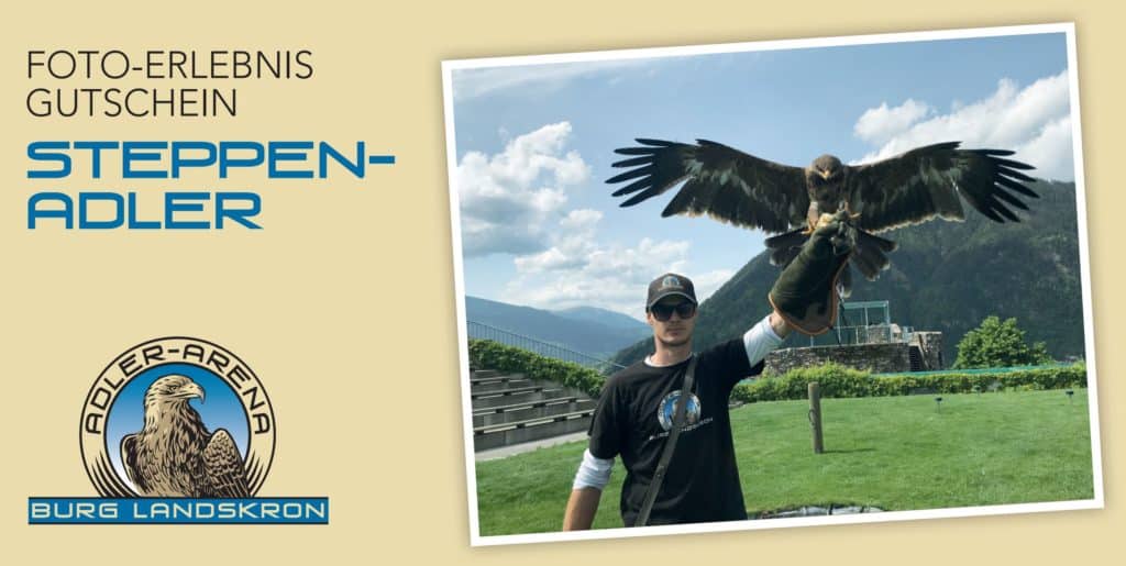 Geschenksidee Foto-Erlebnis-Gutschein mit Steppenadler in Kärnten