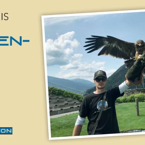 Gutschein für Foto mit Steppenadler auf Adlerarena Burg Landskron in Kärnten als Geschenksidee für Urlaub in Österreich