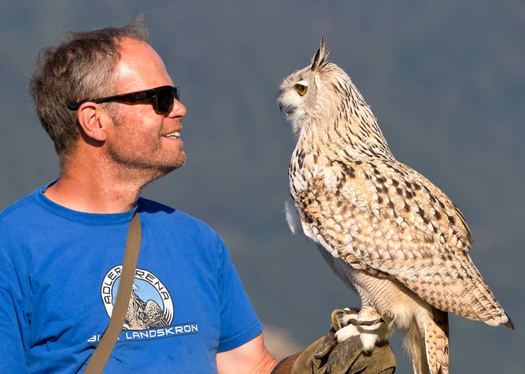 Ausflug in die Adlerarena Burg Landskron in Kärnten - Falkner mit Sibirischem Uhu bei Flugschau