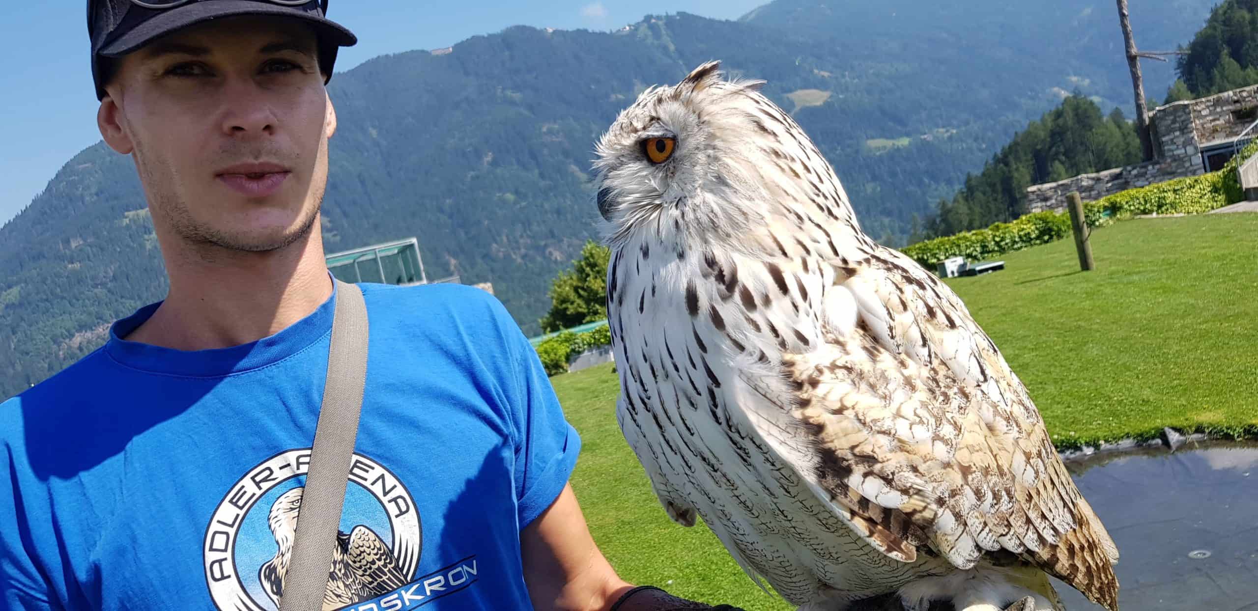 Sibirischer Uhu mit Falkner im Ausflugsziel Adlerarena Burg Landskron in Kärnten bei Villach am Ossiacher See