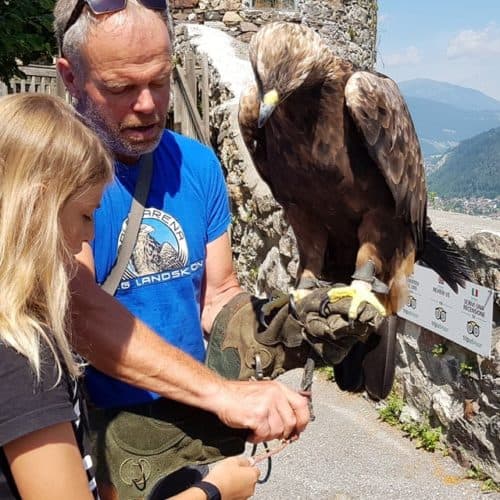 Falkner mit Kind und Steinadler für Foto-Erlebnis auf der Adlerarena Landskron am Ossiacher See