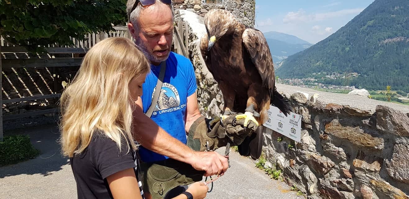 Falkner mit Kind und Steinadler für Foto-Erlebnis auf der Adlerarena Landskron am Ossiacher See