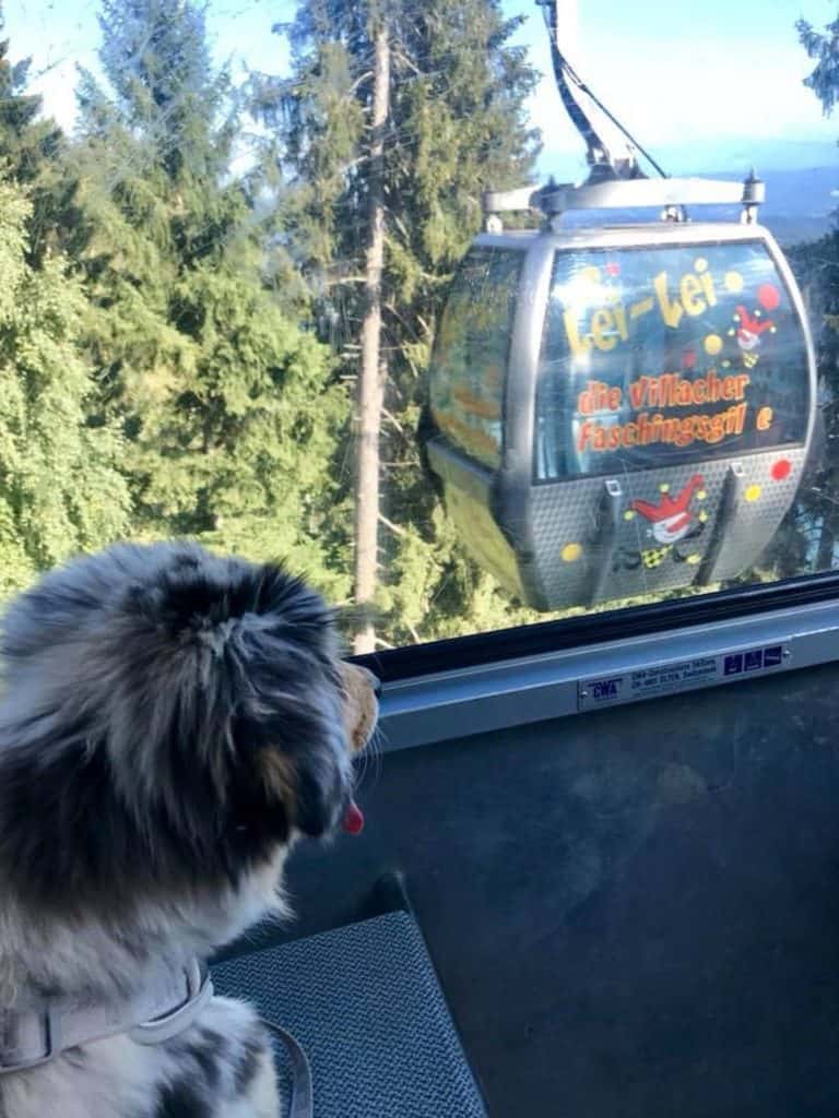 hundefreundliche Bergbahnen in Kärnten - Urlaub mit Hund