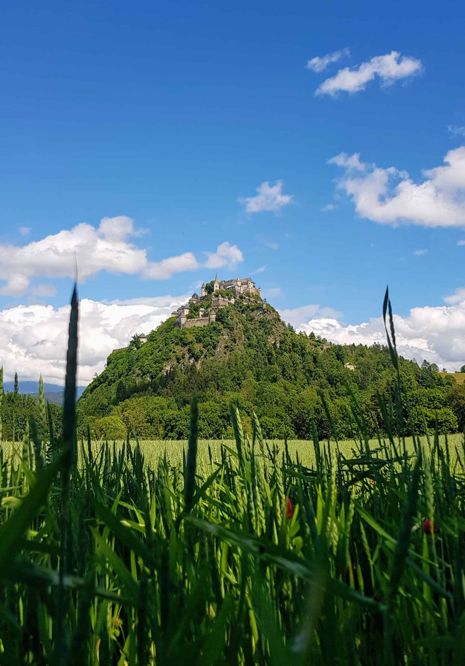 Burg Hochosterwitz auf Fels mit Getreideacker und blühendem Klee im Vordergrund. Ausflugsziel für Familien in Kärnten, Österreich