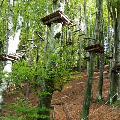 Familienausflüge Villach - Ossiacher See: Im Kletterwald in Ossiach mit Klettertouren und Flying Fox für die ganze Familie. Sehenswürdigkeiten Österreich.