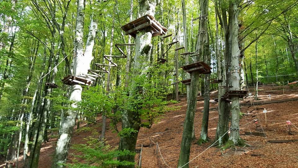 Familienausflüge Villach - Ossiacher See: Im Kletterwald in Ossiach mit Klettertouren und Flying Fox für die ganze Familie. Sehenswürdigkeiten Österreich.