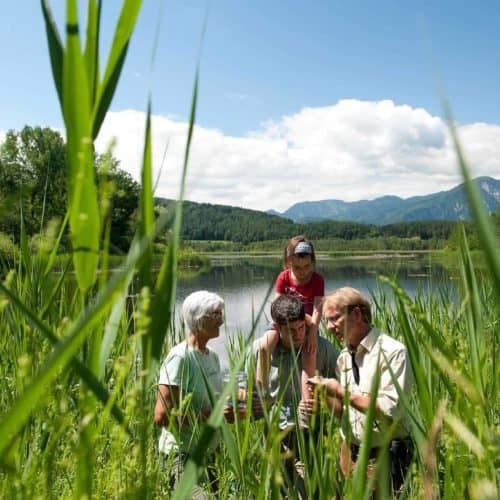 Familie mit Kind bei Führung und Expedition im Slabatnigmoor in Kärnten, Urlaubsregion Klopeinersee in Österreich.