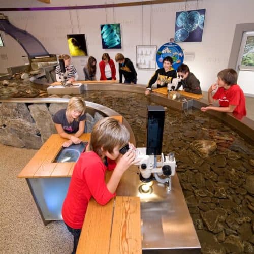 Kinder im Besucherzentrum Mallnitz beim Forschen und Entdecken. Familienfreundliches Ausflugsziel in Kärnten in der Nationalparkregion Hohe Tauern.