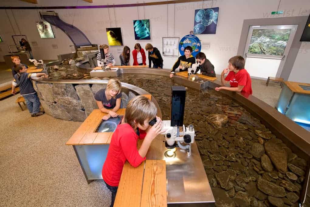 Kinder im Besucherzentrum Mallnitz beim Forschen und Entdecken. Familienfreundliches Ausflugsziel in Kärnten in der Nationalparkregion Hohe Tauern.