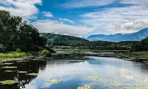 Ausflugsziele Klopeinersee Slabatnigmoor bei Führung oder Aktivitäten in Kärnten. Naturschutzgebiet in Österreich.